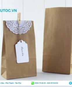 mẫu thiết kế túi giấy xi măng