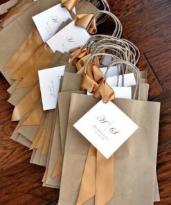 túi giấy kraft đa dạng