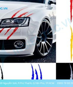 dán decal xe ô tô tphcm