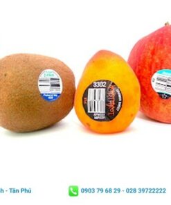 mẫu tem nhãn dán trái cây nhiều hình dạng