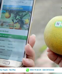 in tem nhãn truy xuất nguồn gốc dán hoa quả