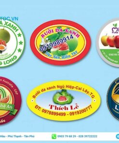 mẫu in tem trái cây hoa quả nhiều màu sắc