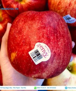 tem trái cây in xuất sứ và tên thương hiệu