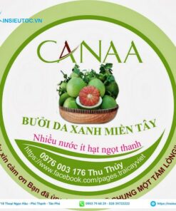 mẫu thiết kế tem dán trái bưởi