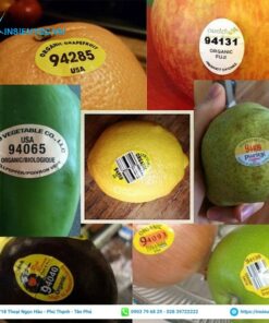 in tem trái cây nhập khẩu