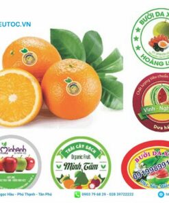 tem trái cây nhiều hình dáng