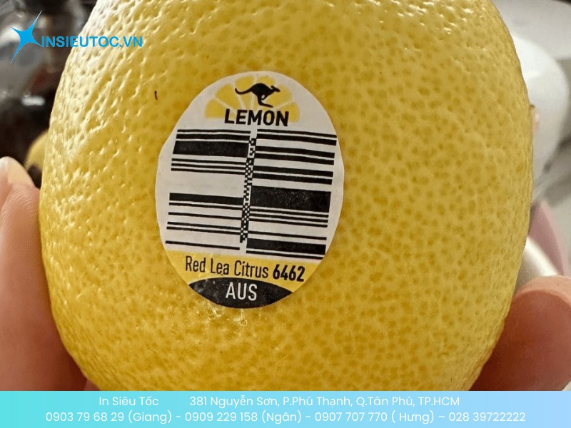 Sticker in mã vạch cho trái cây