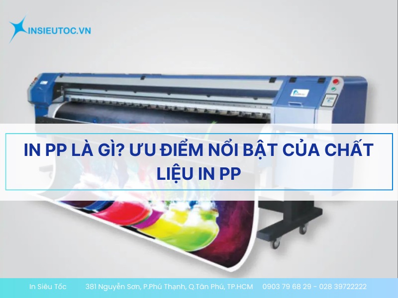 in pp là gì in pp là gì