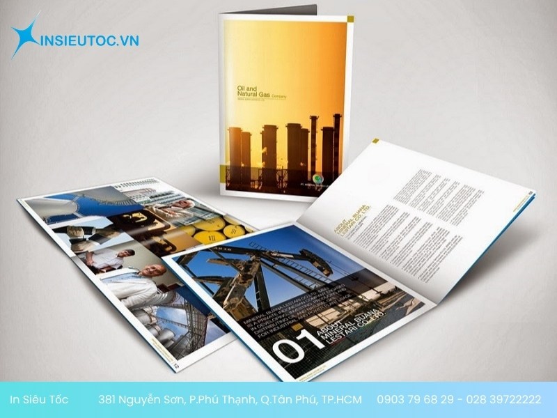 thiết kế catalog miễn phí