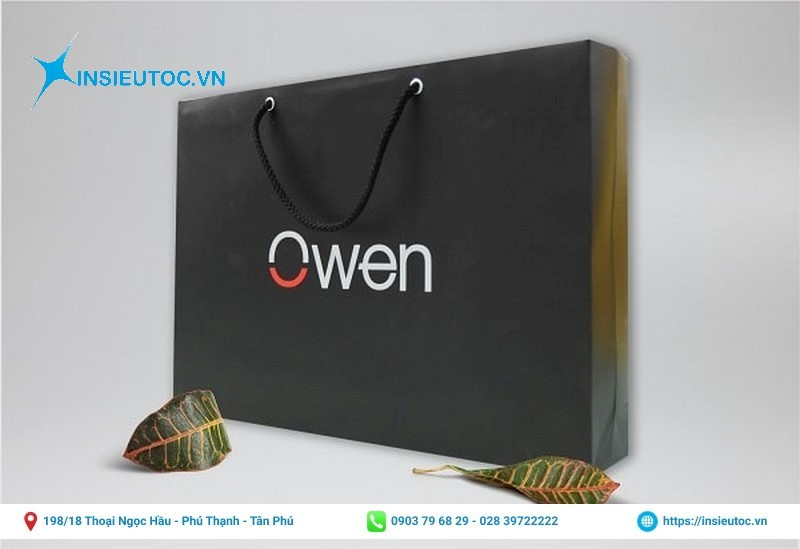 cần in túi giấy-In Siêu Tốc