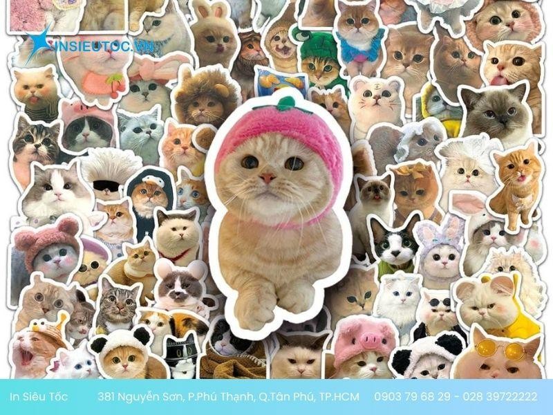 sticker mèo con đáng yêu sticker mèo con đáng yêu