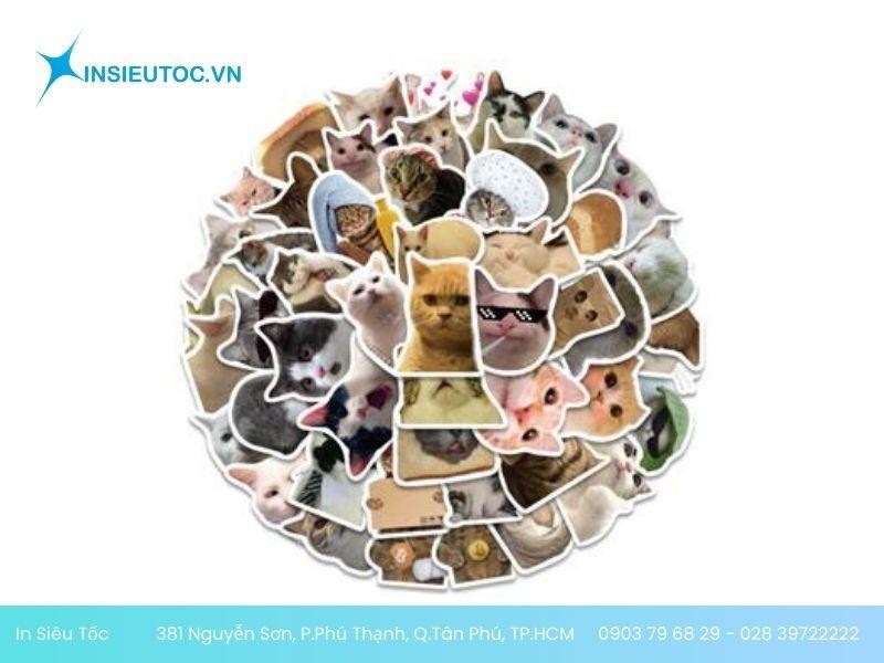 meme mèo nổi tiếng trên mạng xã hội meme mèo nổi tiếng trên mạng xã hội