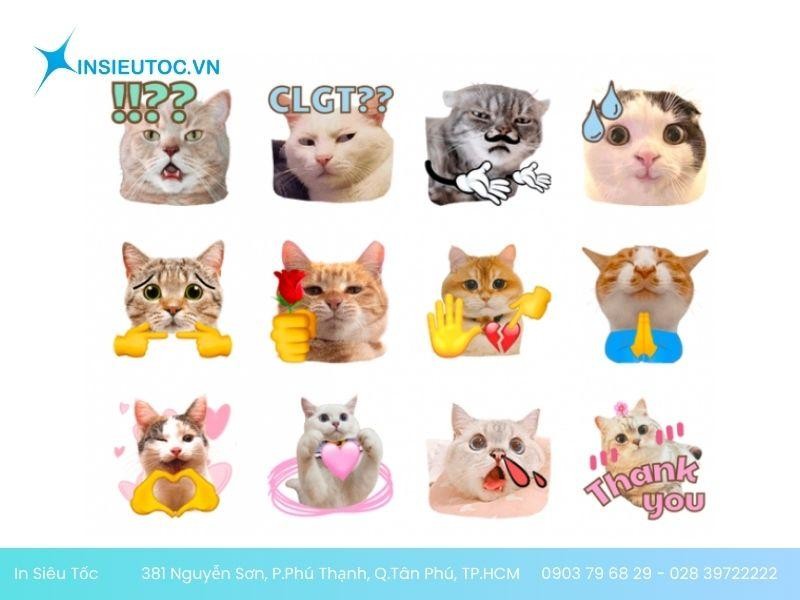 Mẫu sticker meme mèo vui nhộn dễ thương Mẫu sticker meme mèo vui nhộn dễ thương
