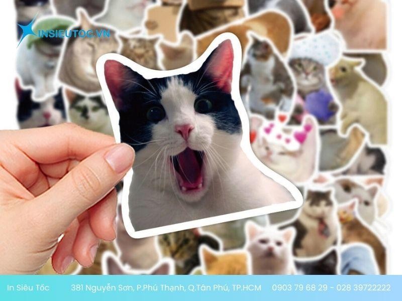 Đa dạng mẫu sticker con mèo Đa dạng mẫu sticker con mèo