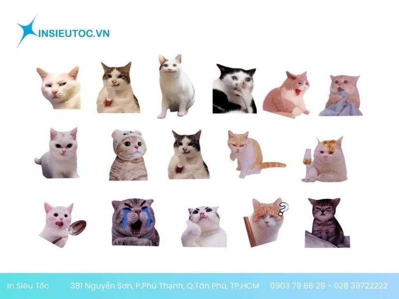 Mẫu sticker mèo đang thịnh hành Mẫu sticker mèo đang thịnh hành