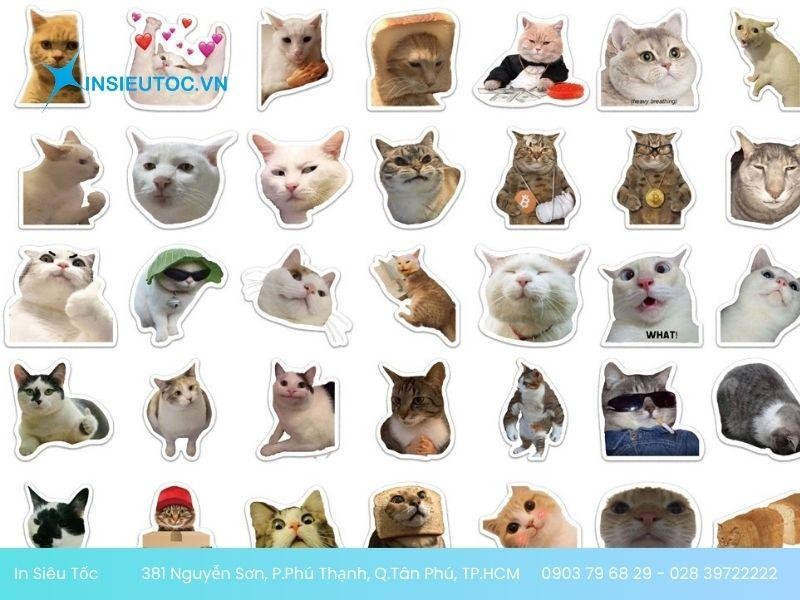 sticker meme mèo đáng yêu sticker meme mèo đáng yêu