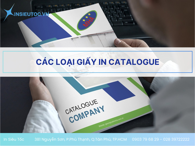 các loại giấy in catalogue các loại giấy in catalogue