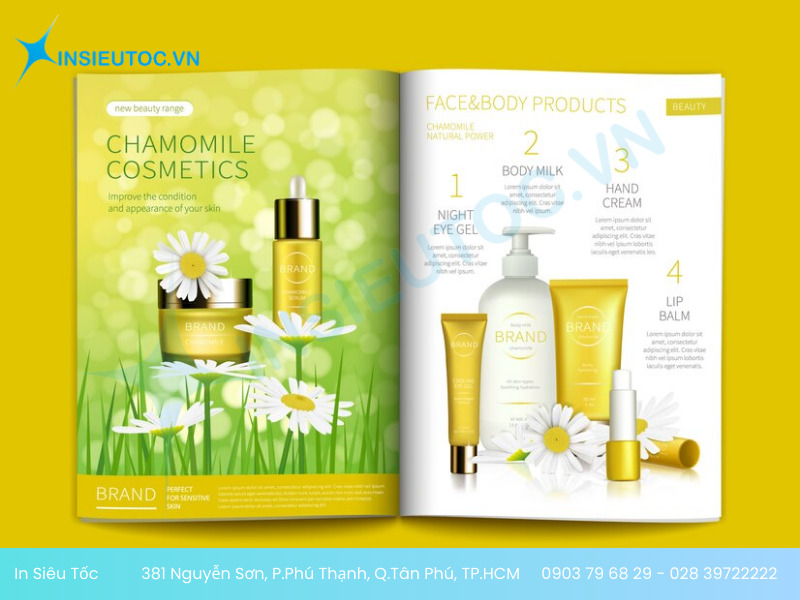 in catalogue lấy liền in catalogue lấy liền