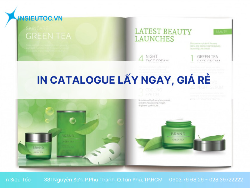 in catalogue lấy ngay in catalogue lấy ngay