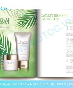 in catalogue lấy ngay uy tín