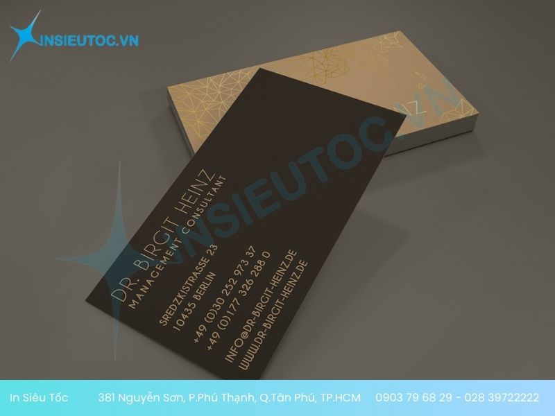 mẫu name card cao cấp mẫu name card cao cấp