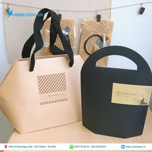 mẫu túi giấy đựng quà kiểu dáng độc đáo, lạ mắt. mẫu túi giấy đựng quà kiểu dáng đẹp