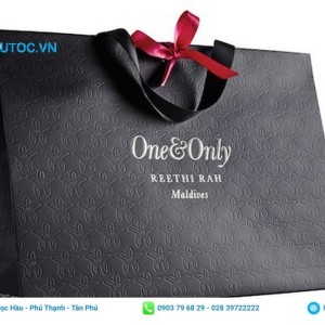 Mẫu in túi giấy đựng quà cao cấp đẹp. Túi giấy đựng quà cao cấp