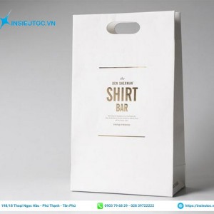 Túi giấy đựng quà đơn giản nhưng không kém phần nổi bật. Túi giấy đựng quà thanh lịch