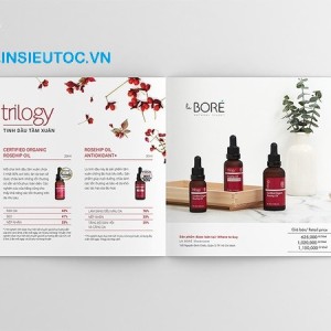Catalogue spa giới thiệu sản phẩm. Mẫu Catalogue Spa mỹ phẩm đẹp