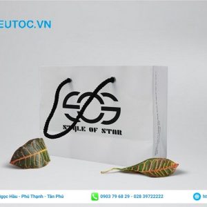 Chọn chất liệu in túi giấy phù hợp túi giấy thời trang