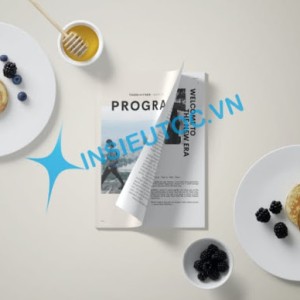 Mẫu catalogue số lượng ít đơn giản nhưng tinh tế. in catalogue so luong it