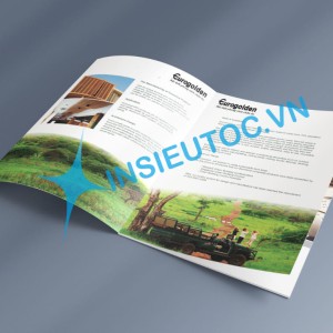 Hình ảnh dùng in catalogue cần phải chân thực, sắc nét. In catalogue giới thiệu doanh nghiệp