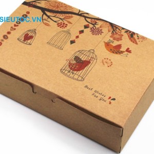Hộp giấy kraft có khả năng phân hủy nhanh, thân thiện với môi trường. Hộp giấy kraft đẹp in họa tiết