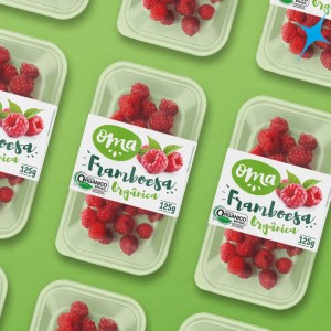 Nhãn thực phẩm - In Siêu Tốc nhãn thực phẩm