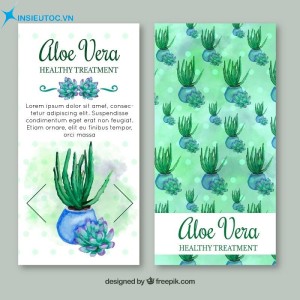 Cả mặt trước và sau mẫu tờ rơi đều dùng hình ảnh nha đam dạng vẽ, vừa mộc mạc, vừa thanh khiết tờ rơi cosmetic aloe vera