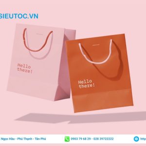 Túi cho shop thời trang đẹp, chắc chắn, nhiều màu sắc túi giấy cho shop thời trang trẻ trung