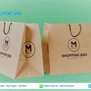 Mẫu in túi xách giấy kraft quai dây với họa tiết đơn giản nhưng đẹp mắt. Mẫu túi kraft quai dây