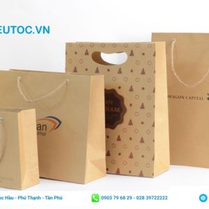 Túi xách in họa tiết thương hiệu với chất liệu giấy kraft cao cấp. Túi kraft giấy in họa tiết
