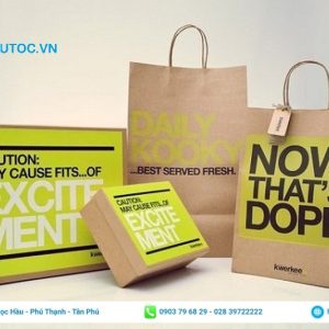 Mẫu in túi xách giấy Kraft đơn giản và đẹp. In túi Kraft đa dạng kích thước
